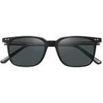 عینک آفتابی گرین لاین Green Lion Carenzo Sunglasses GNCARSGLSBK